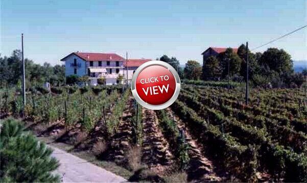 i paesaggi del Vino - Azienda Agricola Fratelli Badino