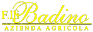 Fratelli Badino - vendita vino in provincia di Alessandria